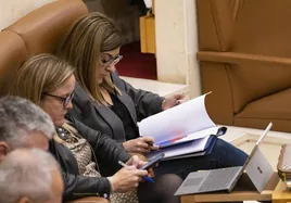 María José Sáenz de Buruaga repasa sus notas antes de su intervención en el Pleno de ayer.