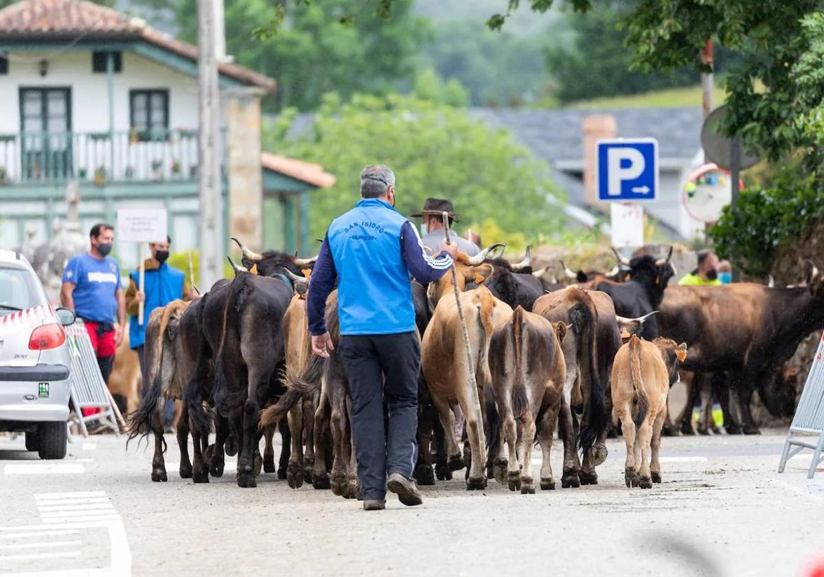 Folclore, ferias, concursos y comida popular por San Isidro