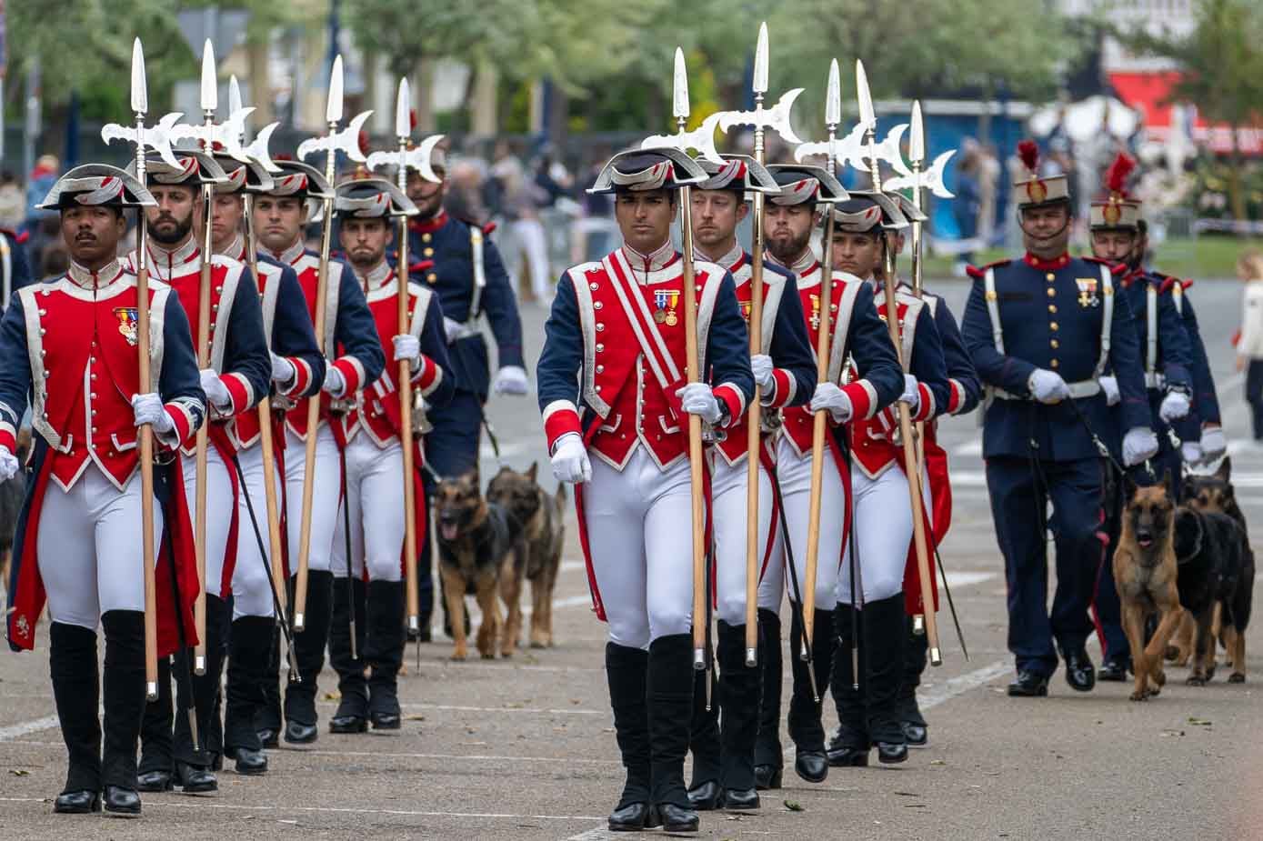 La compañía de los Alabarderos desfila delante de la unidad canina.