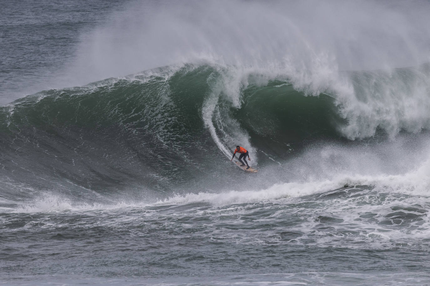 Campeonato Vaca XXL décima edición.