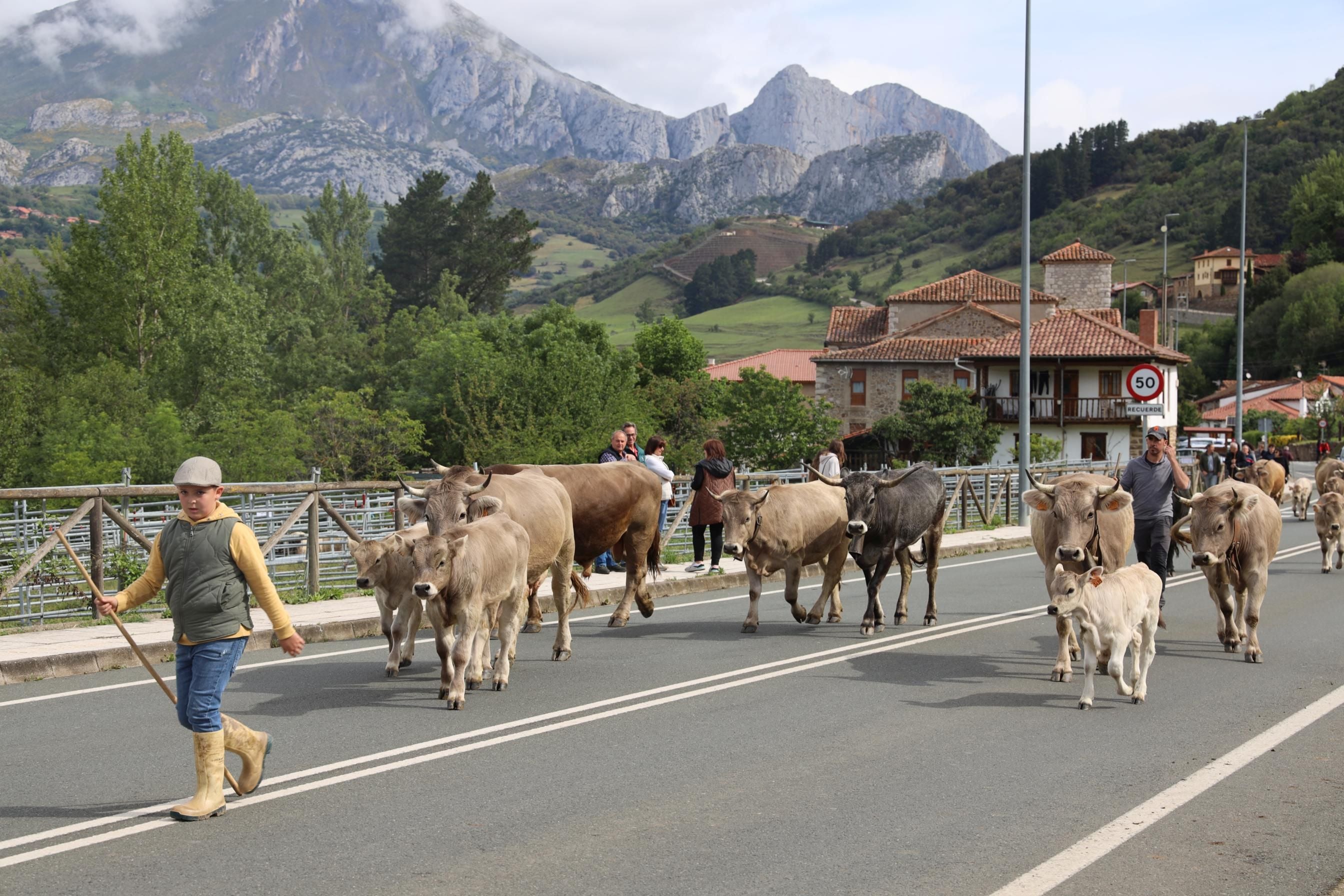 Los ganaderos llegando al recinto ferial. 