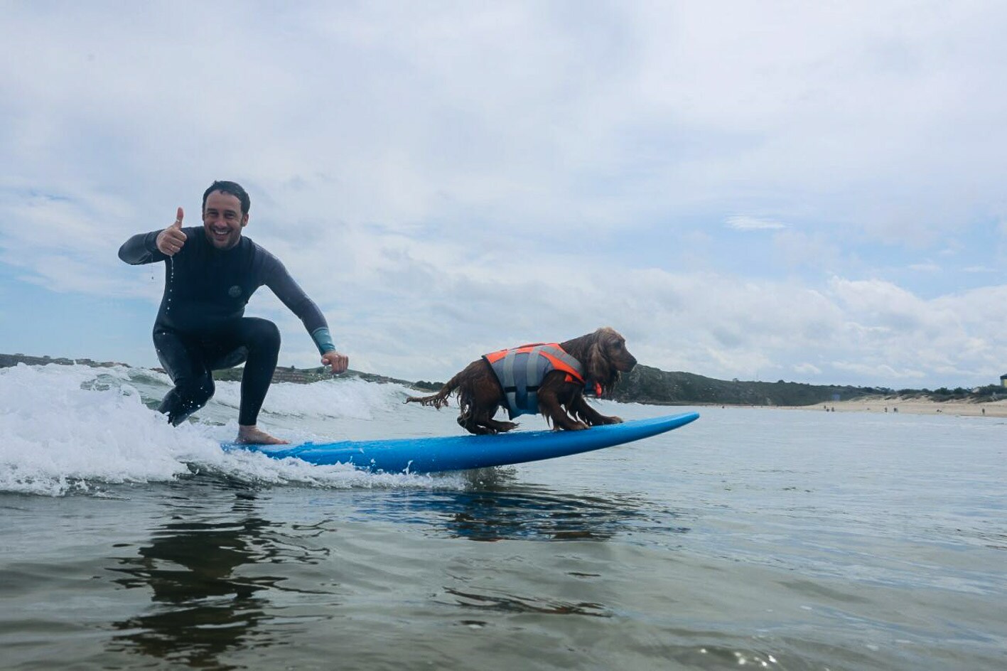 Perros y dueños cogen olas en el entrenamiento del Campeonato de Surf de  Suances | El Diario Montañés