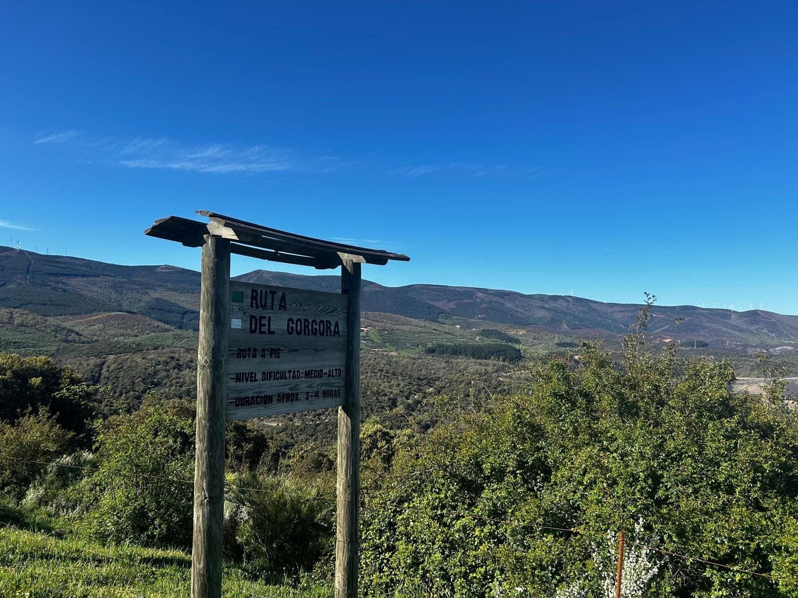 Ruta de ocho kilómetros entre árboles para llegar a los Cañones del Górgora