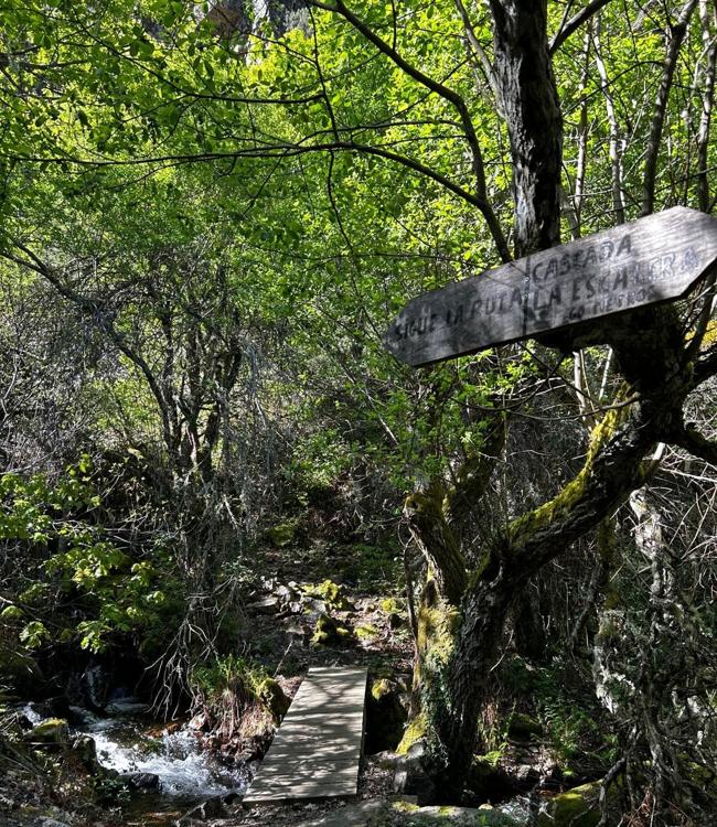 Camino hacia la cascada La Escalera.