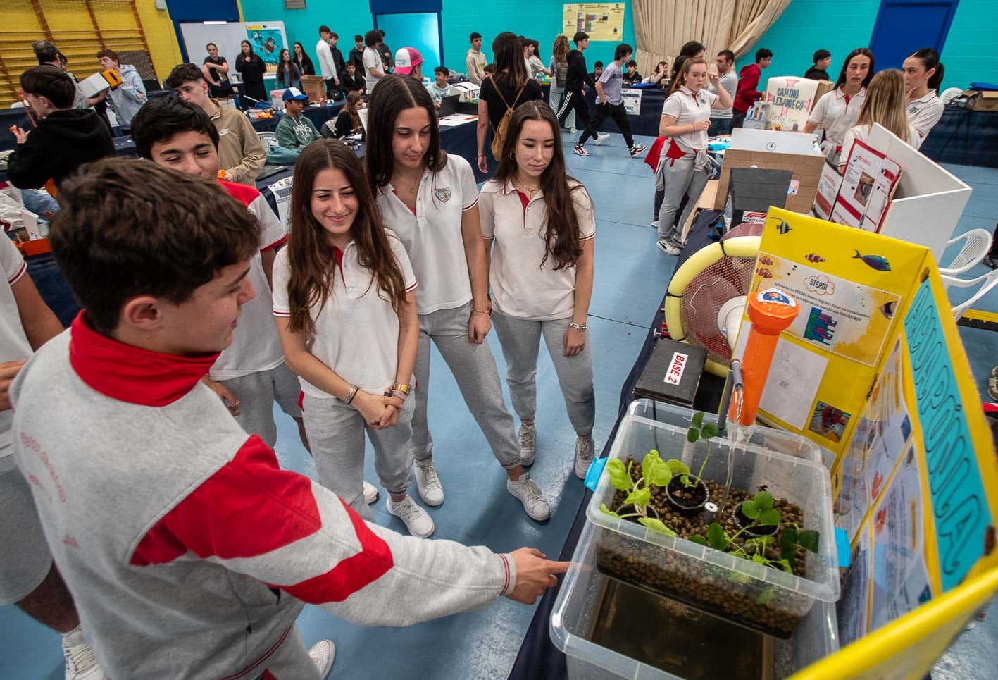 Alumnos del Colegio Sagrada Familia presentan su proyecto. Los escolares han tenido que explicar su desarrollo a los jueces y a otros estudiantes de ESO y Bachillerato. 