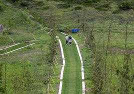 Caminos de césped rodeados de árboles que representan a las víctimas del covid