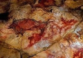 Detalle de los bisontes en la cueva de Altamira.