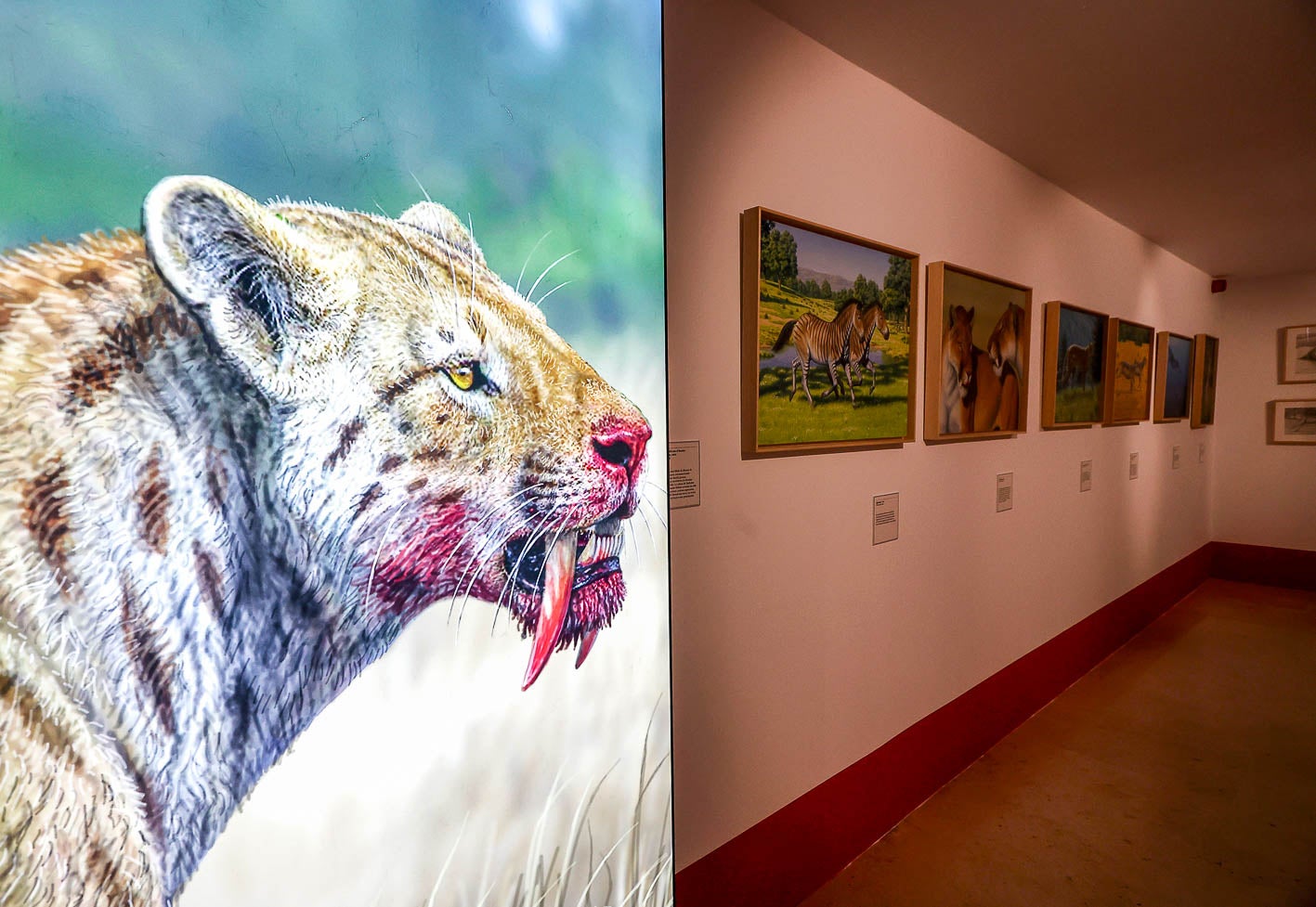 El mundo animal, uno de los protagonistas de la exposición.