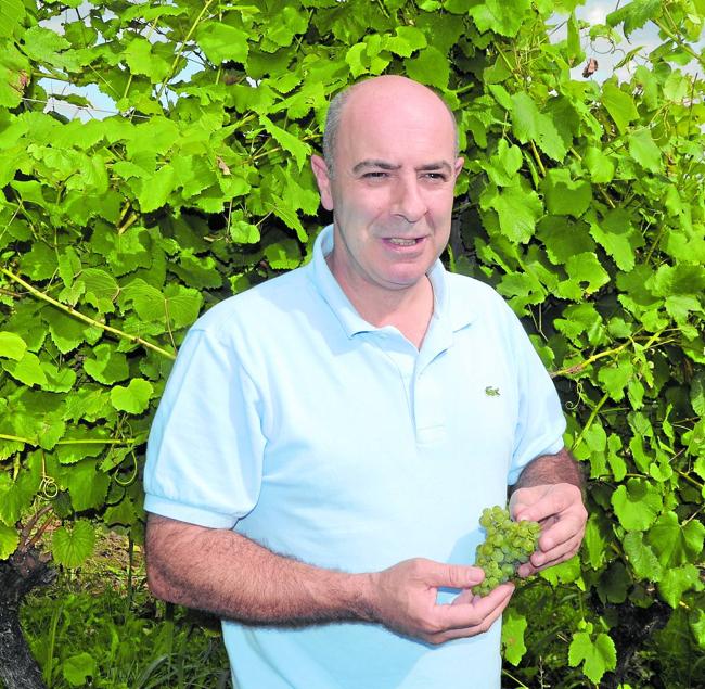 Carlos Recio, artífice de Casona Micaela, la bodega de Valle de Villaverde.