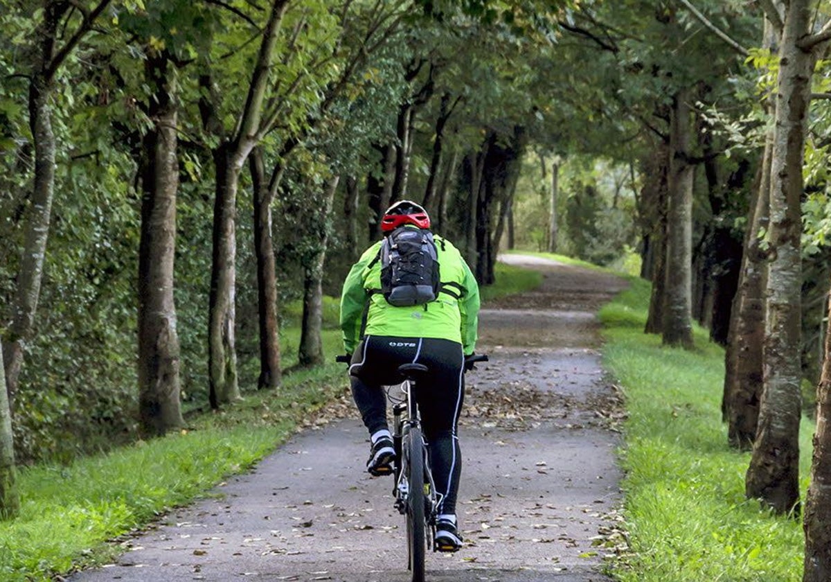 Un ciclista pasea por el carril bici de Villaescusa.