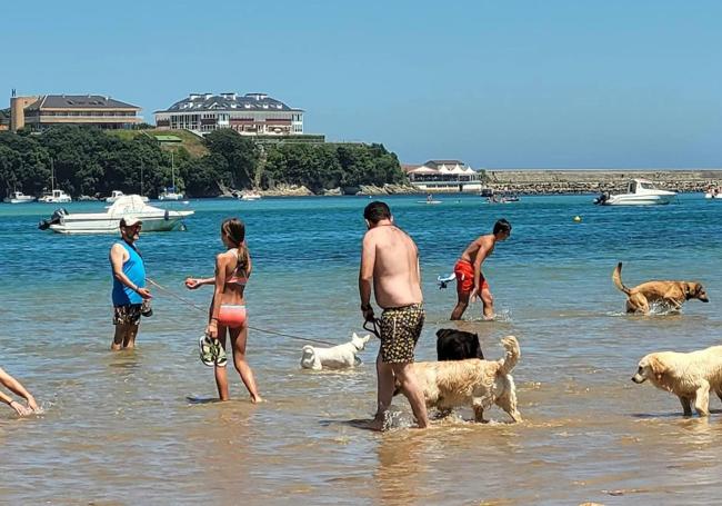 A San Vicente llegan numerosos turistas atraídos por la playa de La Maza