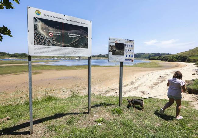 En La Riberuca está perfectamente delimitada la zona en la que los animales están autorizados.