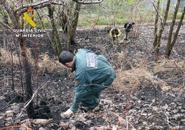 El Seprona trabaja en la zona afectada por el fuego.