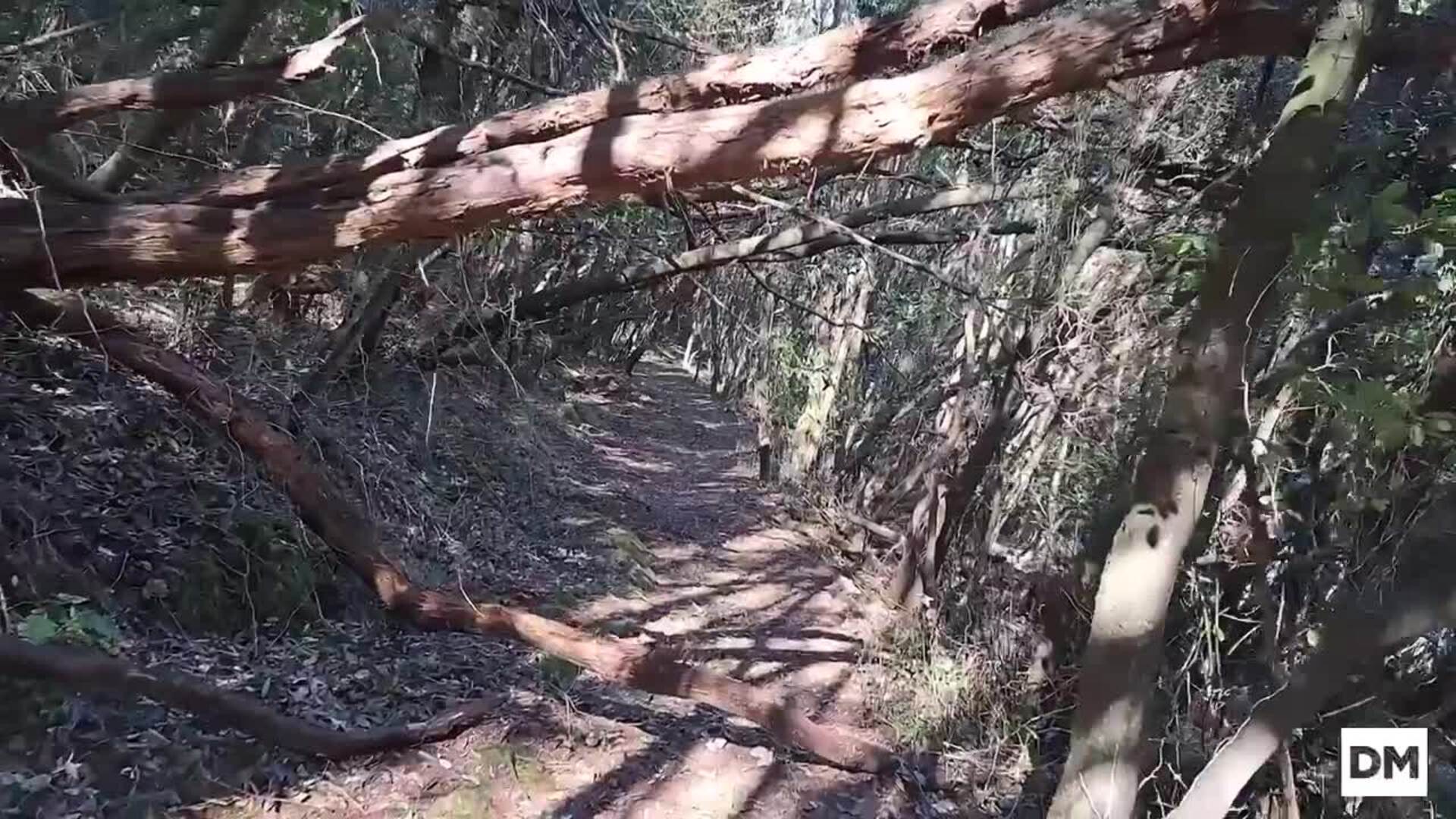 Un paseo por el Monte Buciero, en DRuta