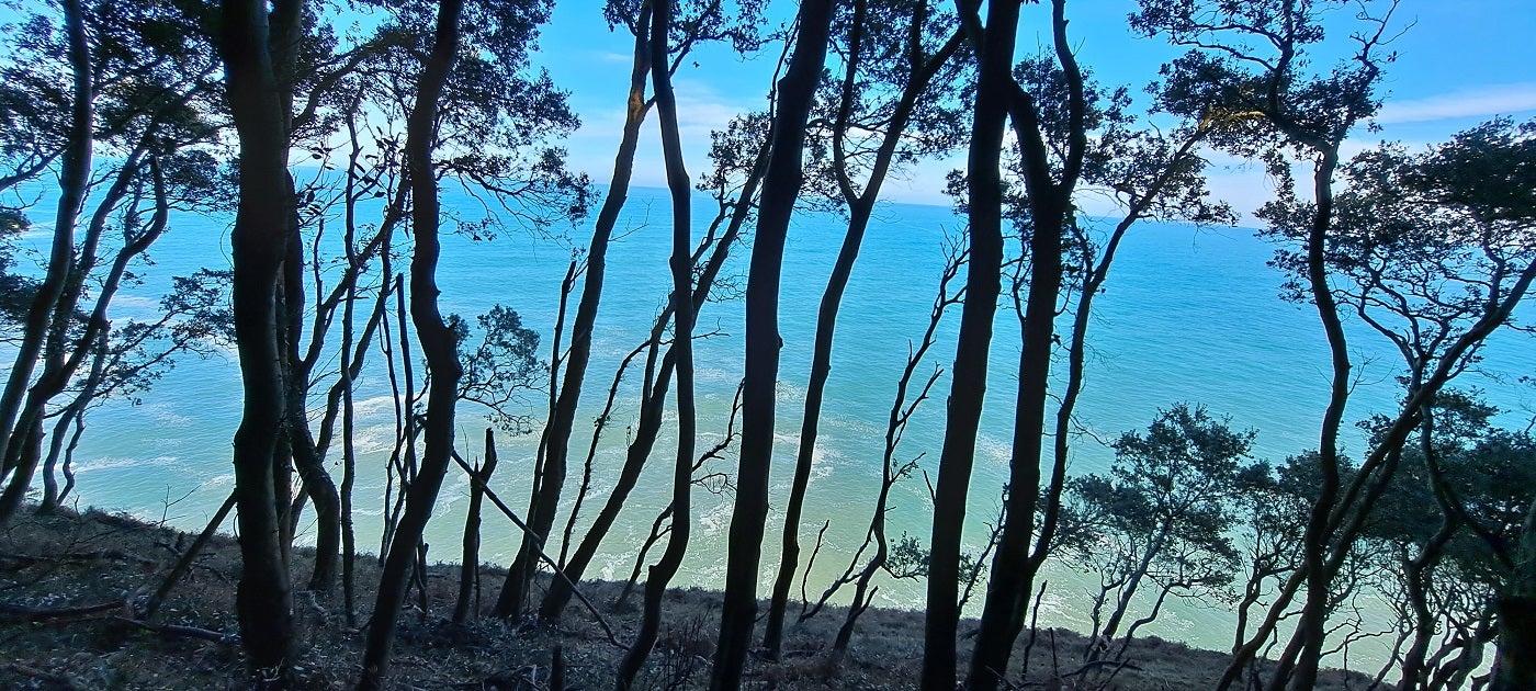 Un tramo de descenso, en el que conviene ayudarse de una cuerda que hay entre los árboles, es la parte más delicada de la ruta. Impone un poco de respeto ver el mar tan cerca.