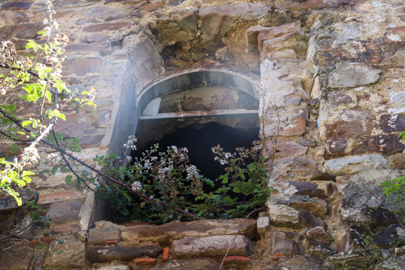 Las ventanas ya no tienen ni cristales y por ellas se mete la vegetación que crece en las inmediaciones.