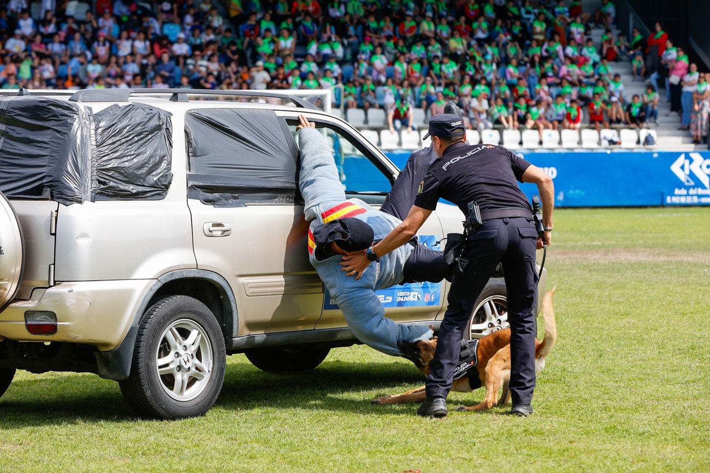 Uno de los canes del Cuerpo Nacional de Policía 'caza' a un fugitivo, durante la exhibición ofrecida en Torrelavega.