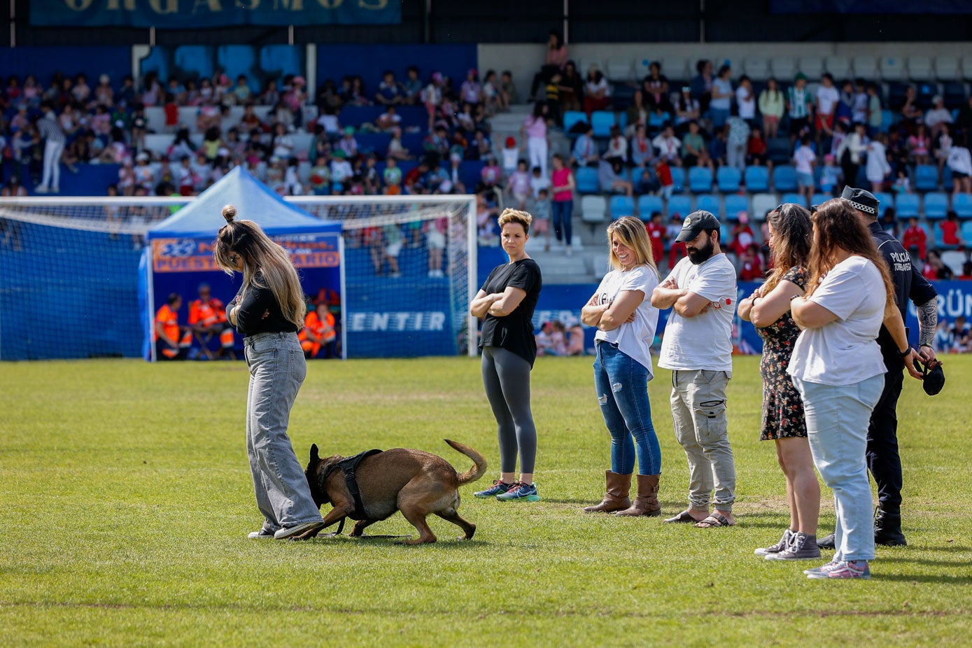 La gran sincronización de los perros con los agentes y los participantes en la cita ha recibido loas del público durante toda la jornada.