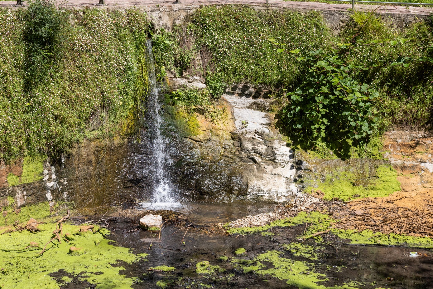 «Estaría bien un poco de civismo y que la gente no tire basura al agua, que ahí hay patos», cide una vecina