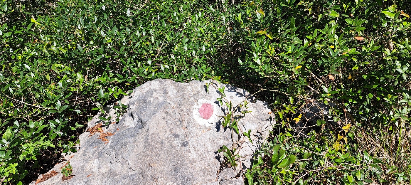 Unas pequeñas marcas de pintura roja y blanca en algunas rocas ayudan a confirmar que se va en la buena dirección.