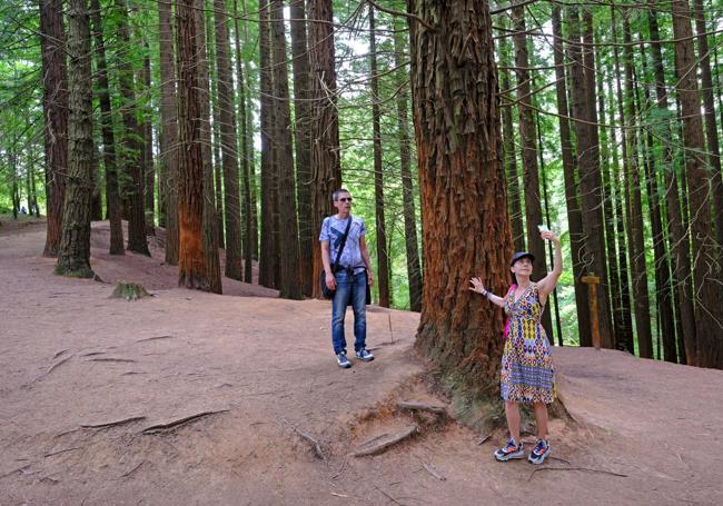 Una mujer se apoya en un árbol para hacerse una foto con el móvil.