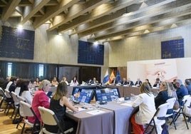 Imagen de la reunión del Gobierno con las comunidades autónomas en Tenerife.