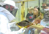 El apiturismo, una aventura en vivo con abejas lebaniegas