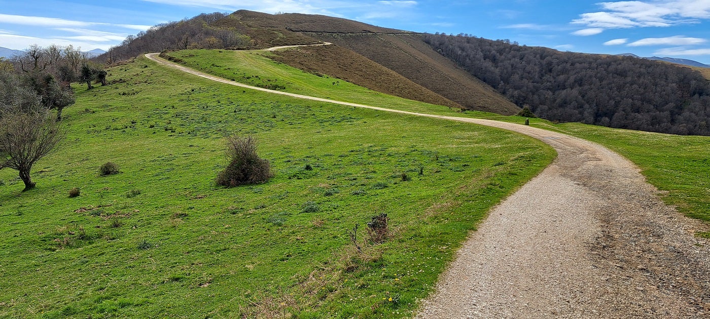 El paisaje, de monte bajo y brañas, invita a intentar ver a un animal salvaje, como alguna venada.