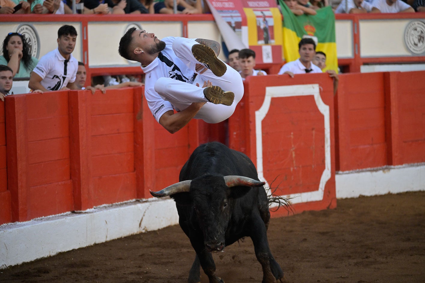 Hay que conocer al animal, sus reacciones, sus terrenos y, por supuesto, templar y mandar.