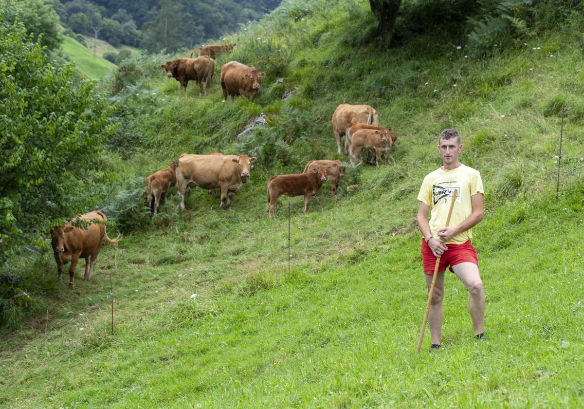 Rubén Fernández posa con parte de su rebaño. La vaca central (tercera por la izquierda) es una de las tres que sobrevivieron.