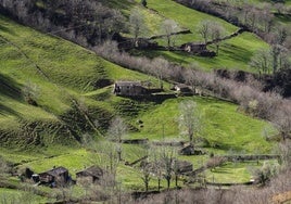 Paisaje típico de la zona, con una cabaña pasiega de fondo.