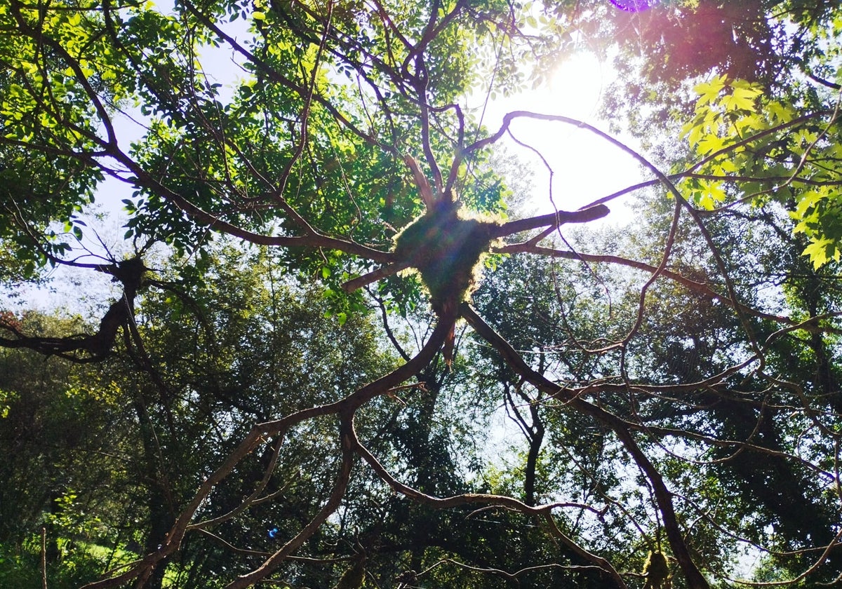 Las intervenciones en el paisaje de Mazcuerras