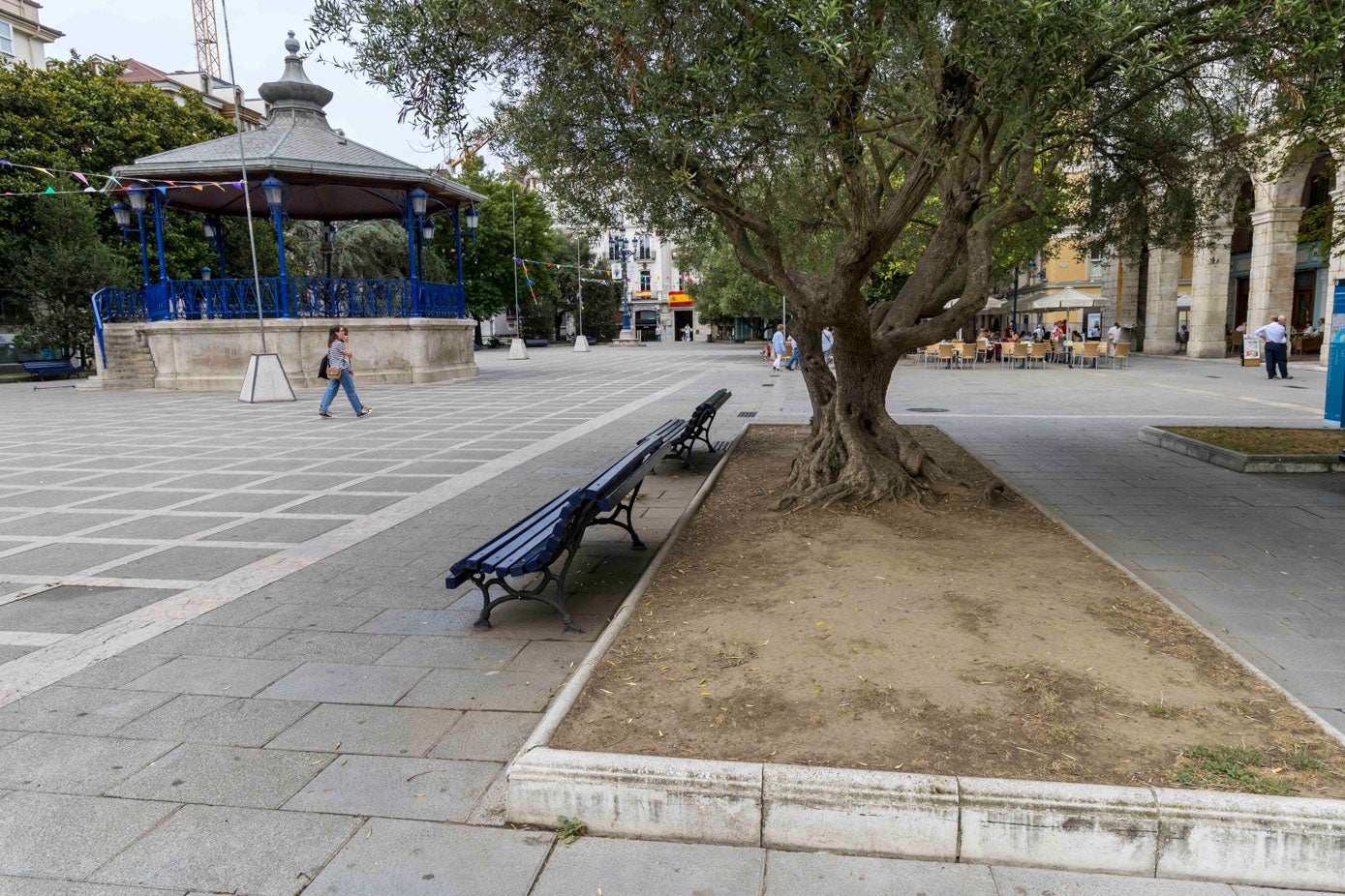 El césped es inexistente en la mayoría de parterres de la plaza de Pombo.