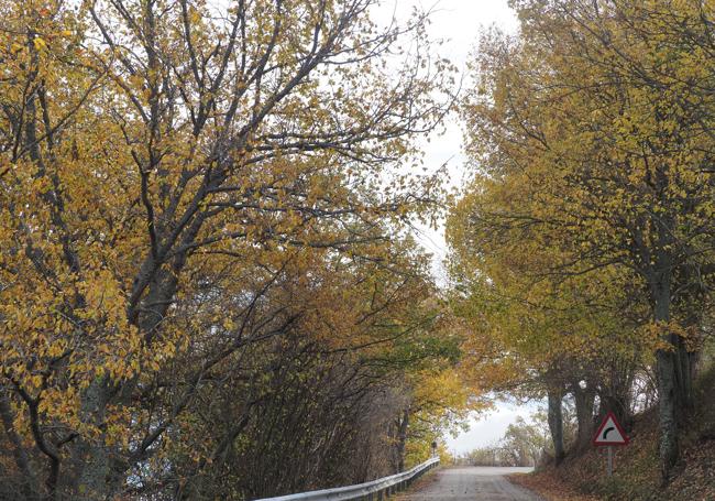 Accesos a Riaño.