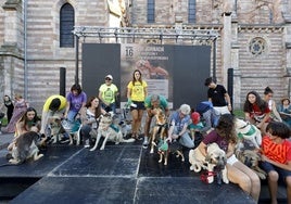 Los voluntarios se preparan para desfilar con perros acogidos por la protectora Refugio Canino Torres.