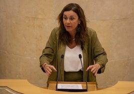 Paula Fernández, diputada regionalista