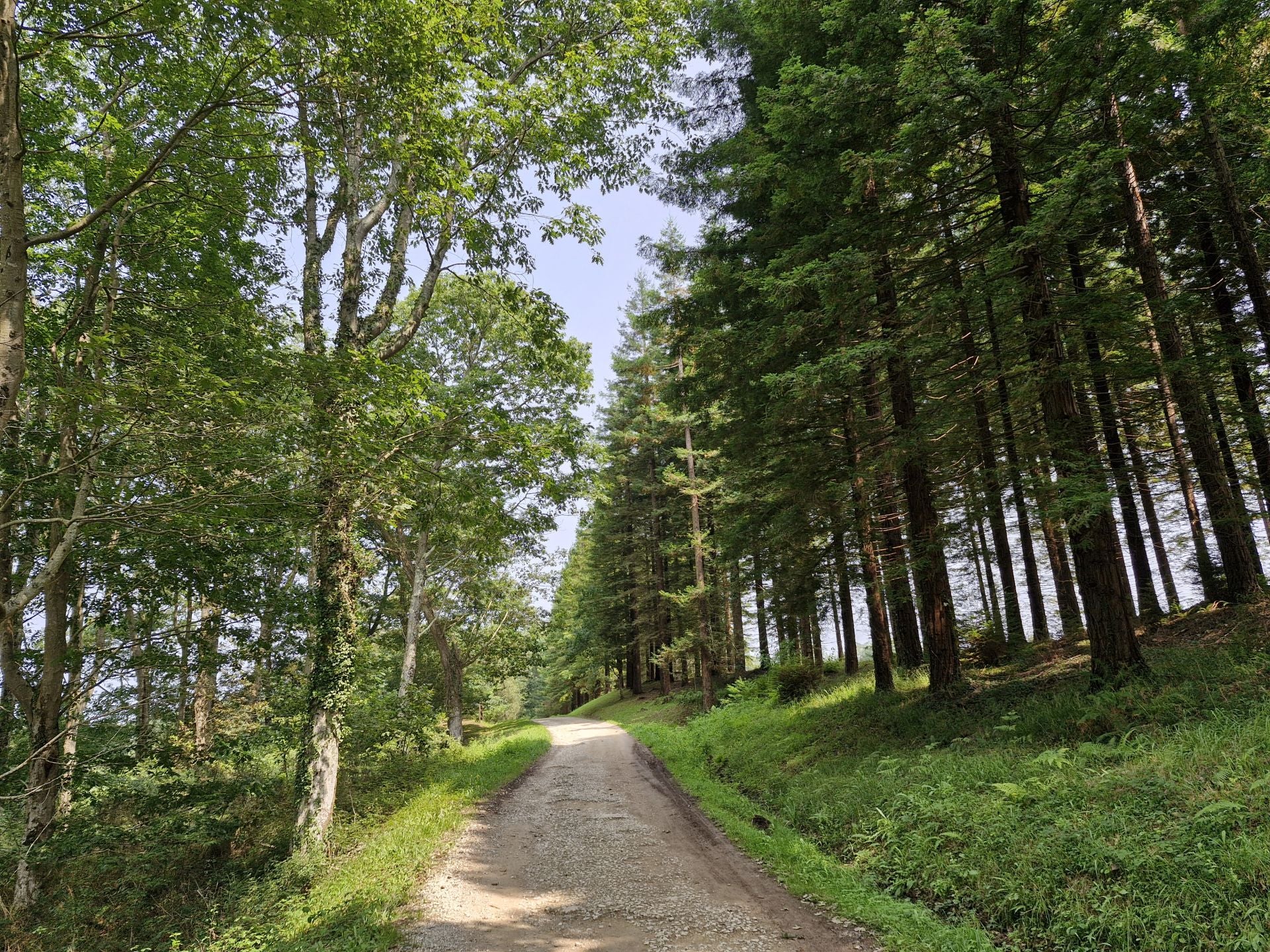 La ruta por el Monte Corona, en imágenes