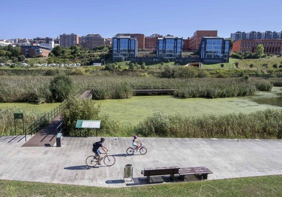 Ruta guiada para conocer las libélulas y las aves del Parque de Las Llamas