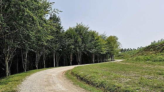 Un paraje para disfrutar de la naturaleza