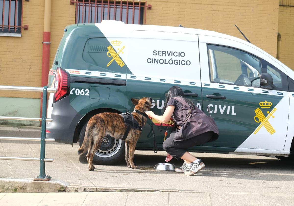 Una agente da de comer a un perro adiestrado durante el operativo