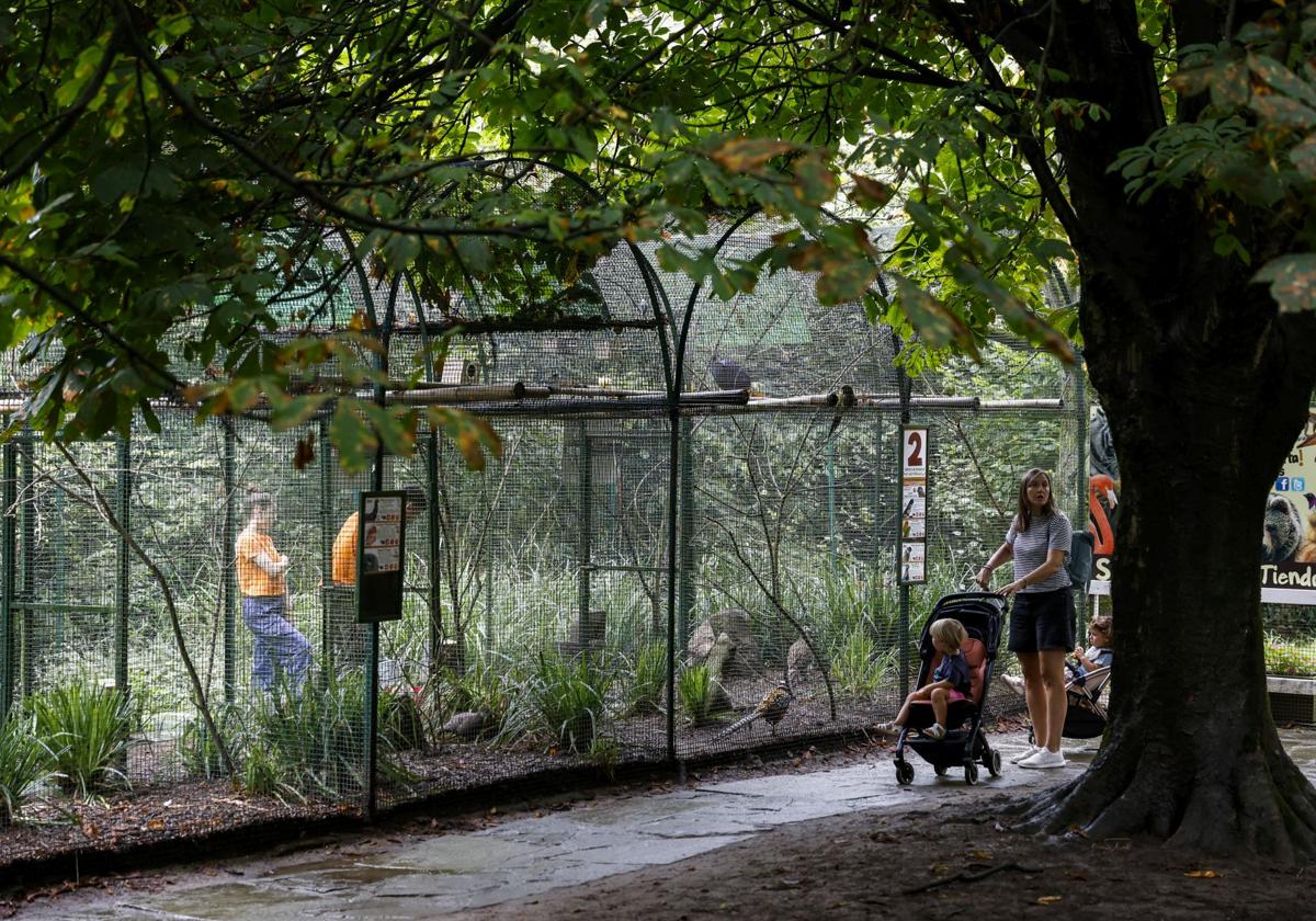 Los últimos en nacer en el Zoo de Santillana