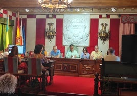 El alcalde, Diego Movellán, junto a los concejales del PP, en el Pleno celebrado este jueves.