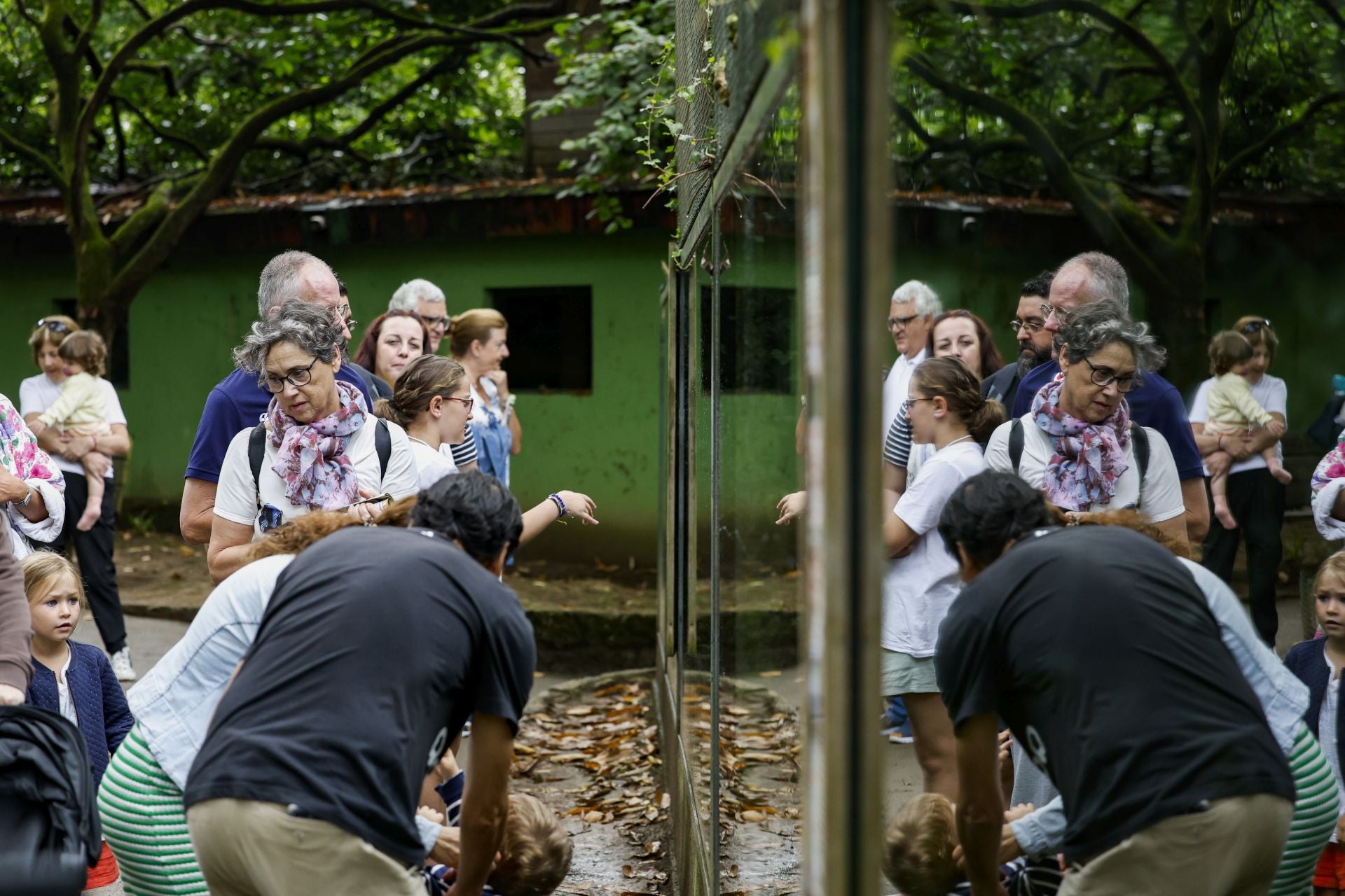 El Zoo de Santillana reproduce más de 20 especies de primates.