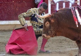 «Sólo tengo una tauromaquia en la cabeza, la de poder con todos los animales»