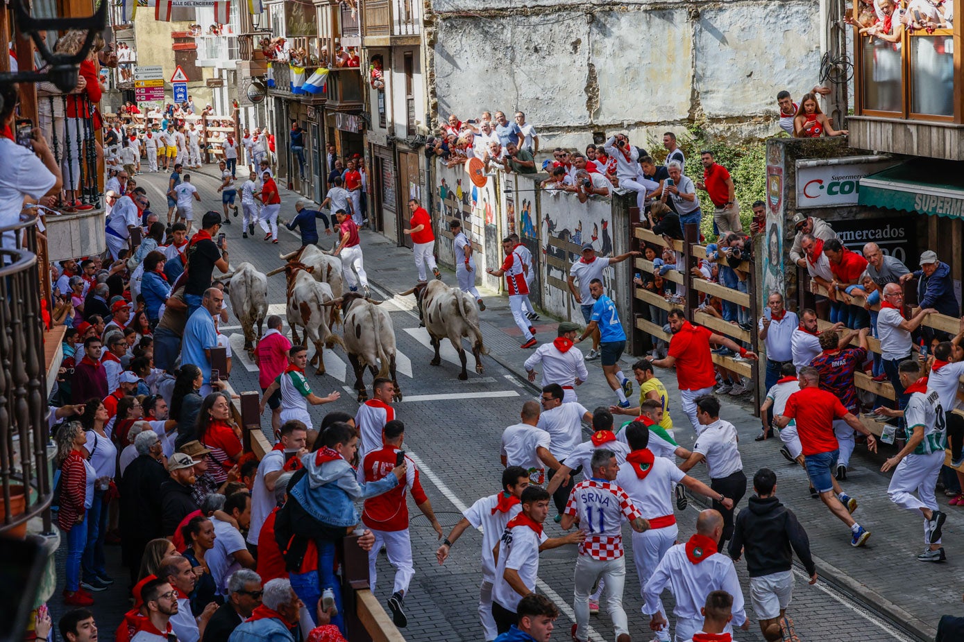 Los seis animales, acompañados por los bueyes de la Finca Martínez Ríos, han salido de manera compacta de la plaza de toros de La Nogalera.