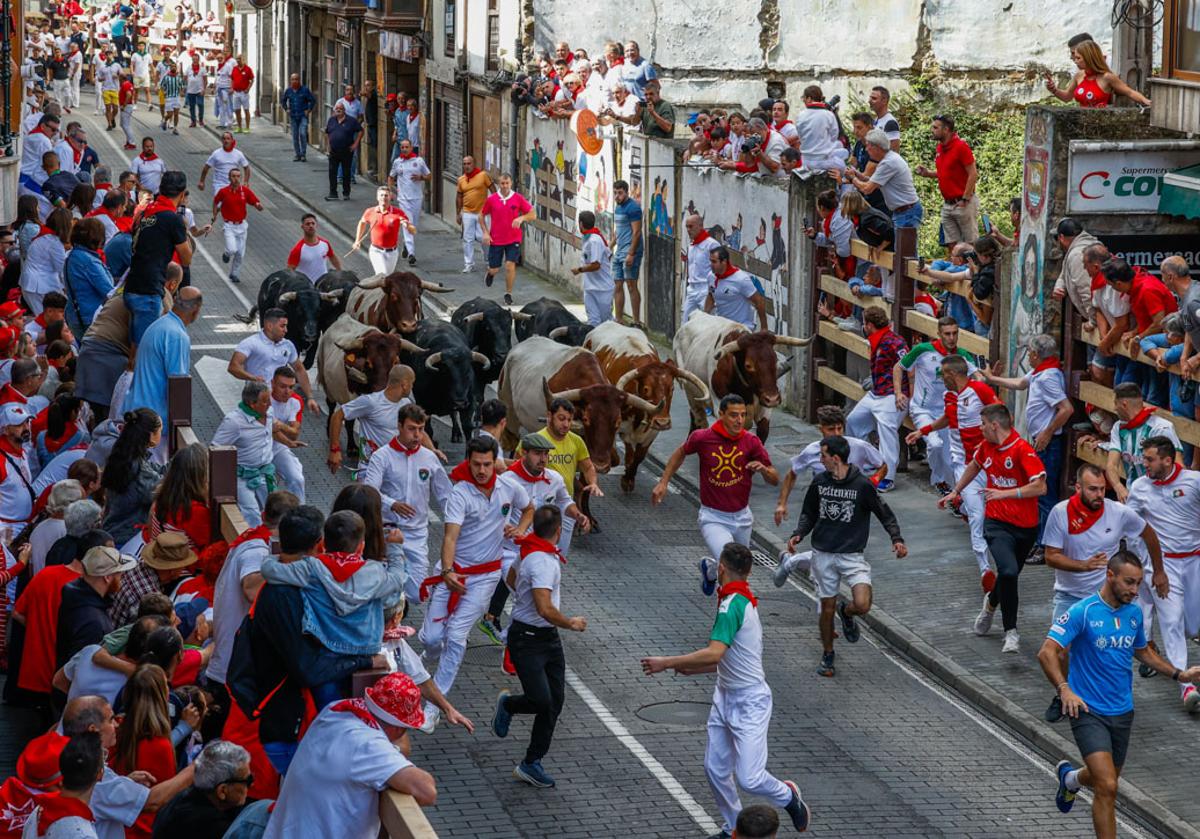 Encierro rápido y limpio para abrir las fiestas de Ampuero