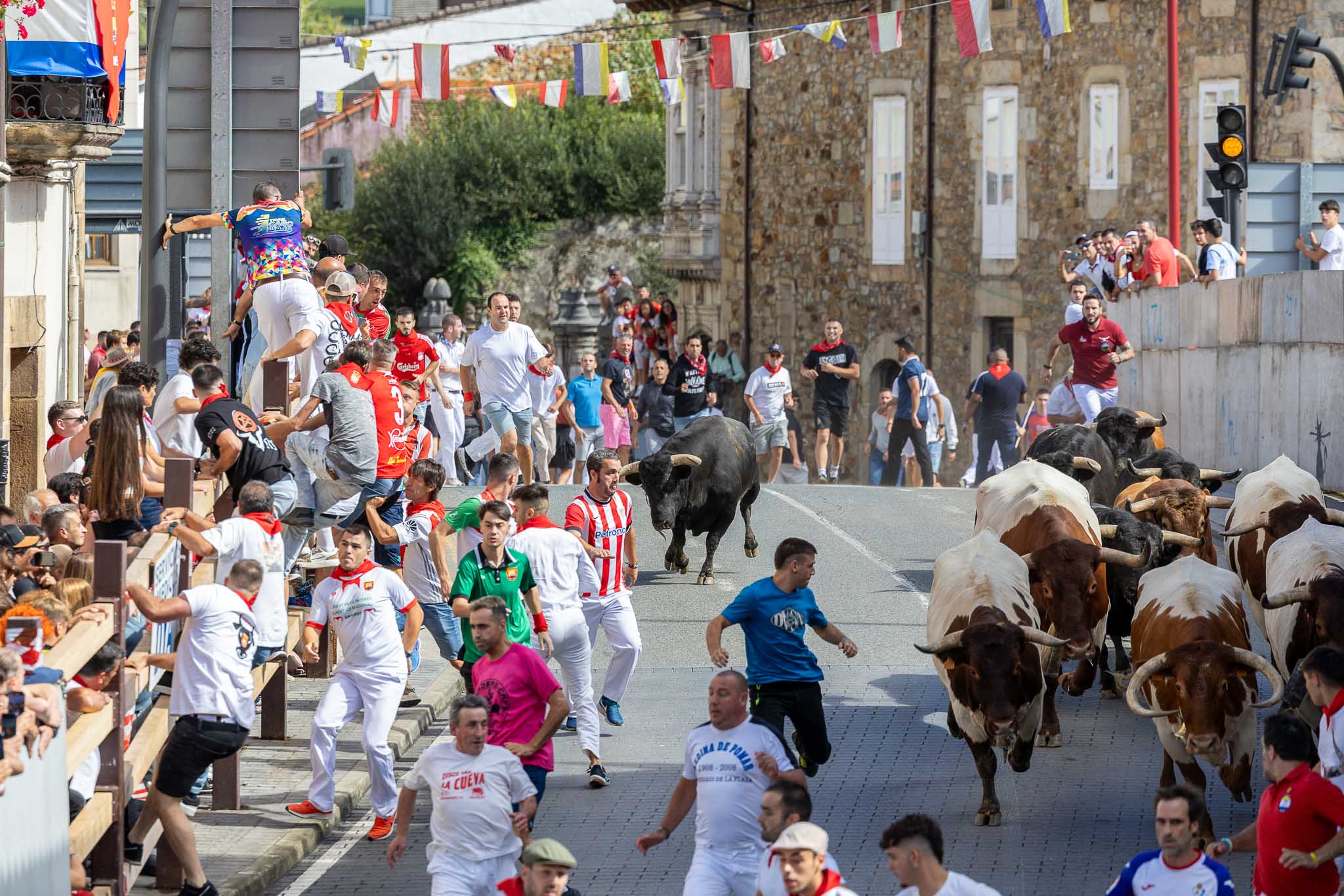 Momento en el que uno de los seis toros se ha separado del grupo.