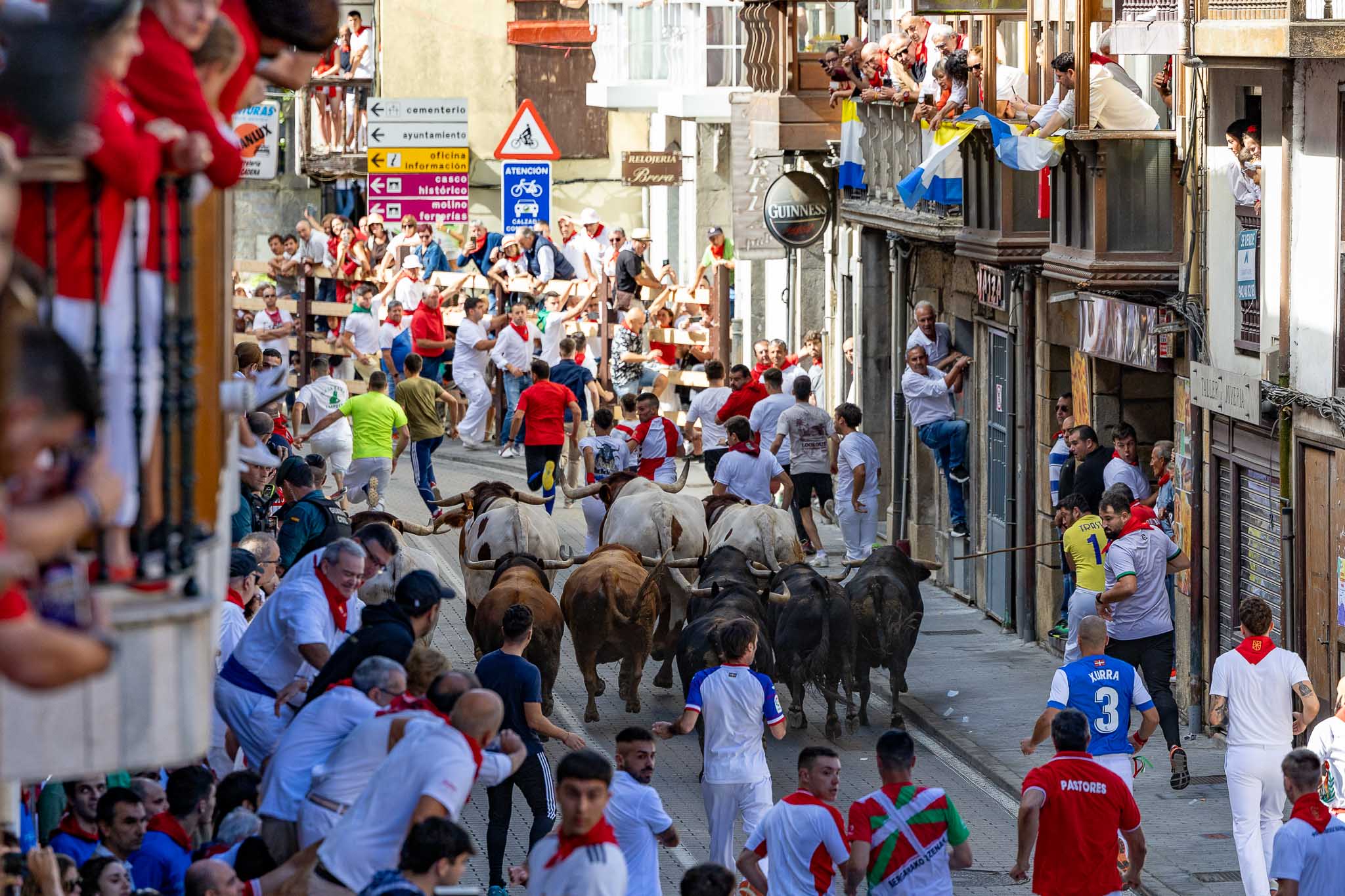 Ampuero ha vivido el segundo de sus tres encierros de las fiestas de la Virgen Niña con miles de corredores, espectadores y seis toros de la ganadería de Salvador Domecq destinados a la corrida mixta de esta tarde.