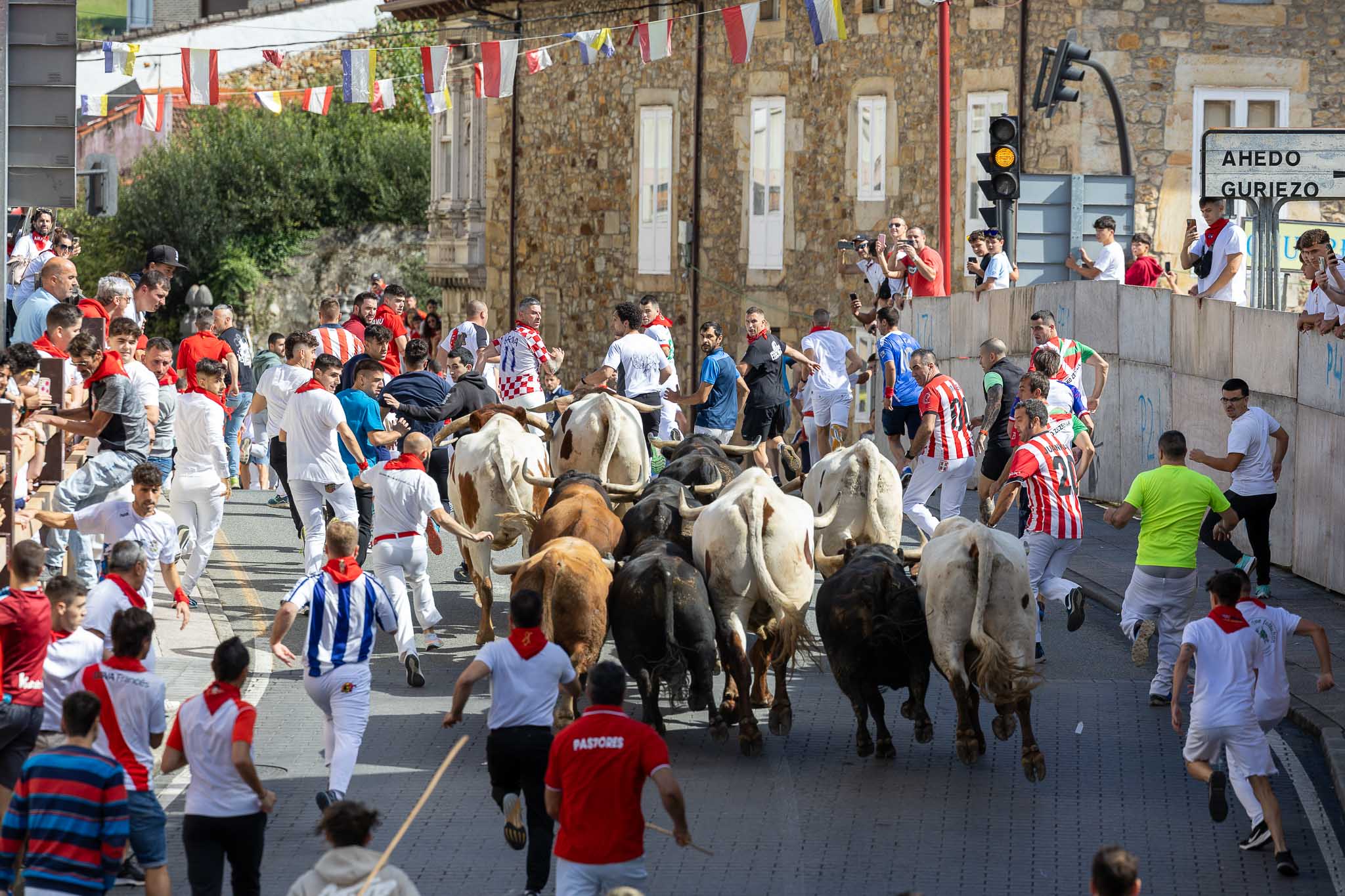 Momento de la carrera, en la que hoy era evidente el mayor número de mozos comparado con el de ayer, tanto locales como llegados del País Vasco, Navarra, Zamora o Madrid.