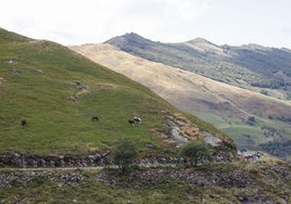 Las impresionantes imágenes de una etapa que ha entrado y salido de Cantabria